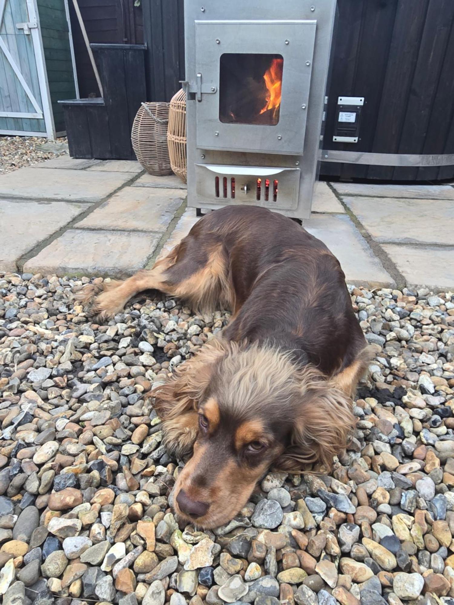 Birch Cottage With Private Wood Fire Hot Tub Harrietsham Екстериор снимка